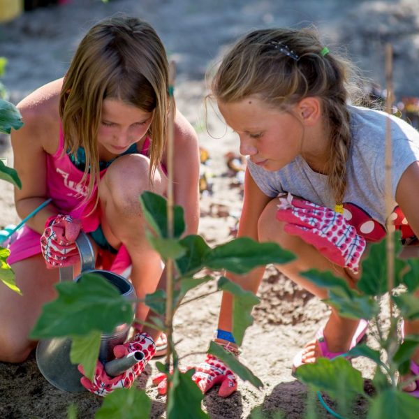 Florenz Open Air Resort-4