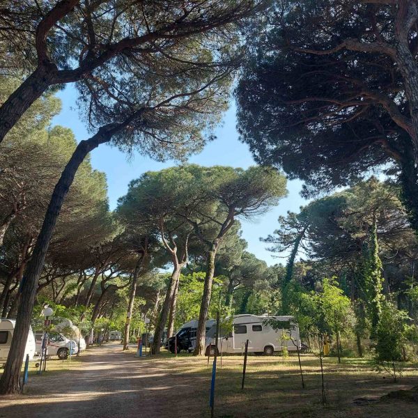 Piomboni Camping Village-17
