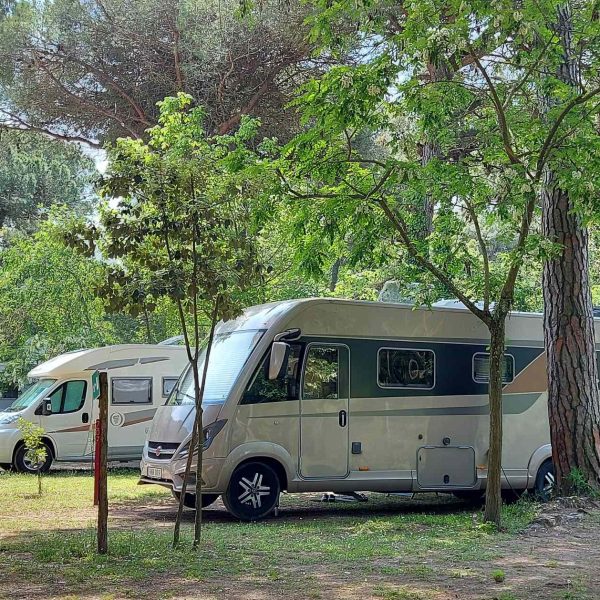Piomboni Camping Village-13