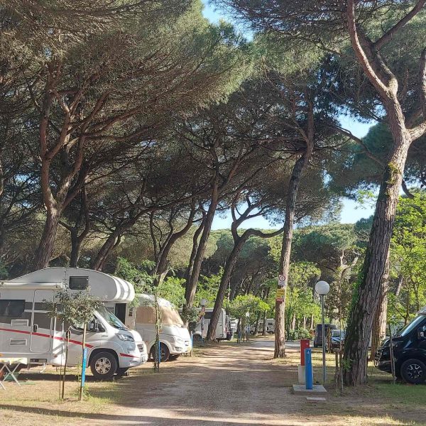 Piomboni Camping Village-10